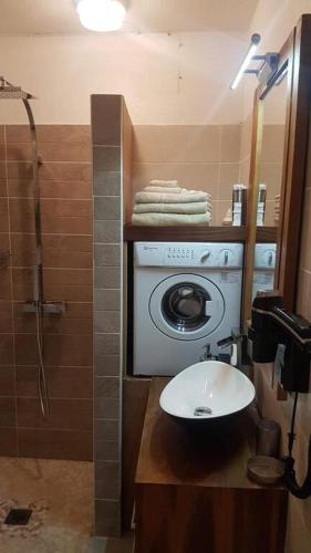 uma casa de banho com uma máquina de lavar roupa e um lavatório em Village Creole - 3ILETS em Les Trois-Îlets