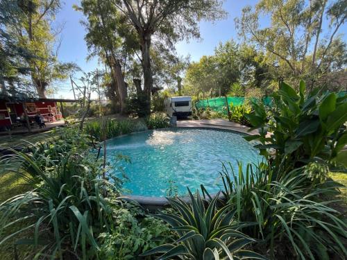 a swimming pool in a garden with plants at Salida de las Casillas in Ingeniero Maschwitz