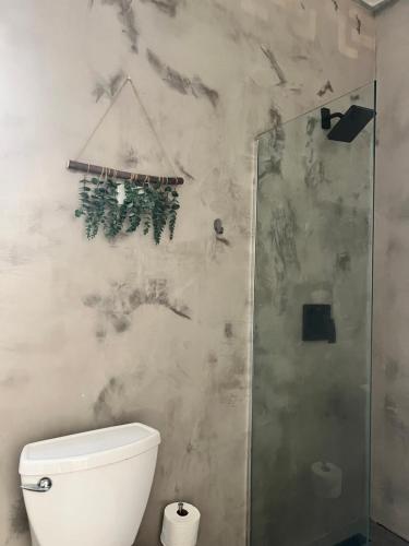 La salle de bains est pourvue d'une douche et de toilettes. dans l'établissement Villa Bamboo, à San Juan