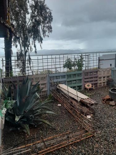 una cerca con un banco junto a una planta en Solorzanorenta, en Ensenada