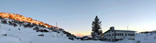 een besneeuwde heuvel met een gebouw en een boom bij Peer Gynt Ski Lodge in Perisher Valley