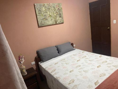 1 dormitorio con 1 cama y una foto en la pared en The Sloth Retreat & Studio Fortuna en Fortuna