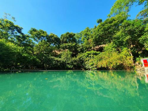 un bacino d’acqua con alberi sullo sfondo di Pu Luong Jungle Lodge a Pu Luong