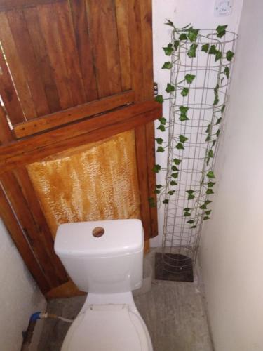 aseo blanco en un baño con planta en NOSSO REFÚGIO MAIRIPORÃ, en Mairiporã