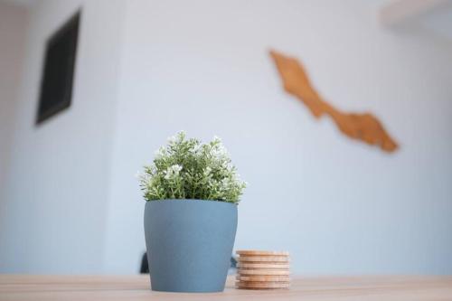 a plant in a blue pot next to a stack of coins at VILLA Arte - just minutes from Mambo & Pietermaai in Willemstad