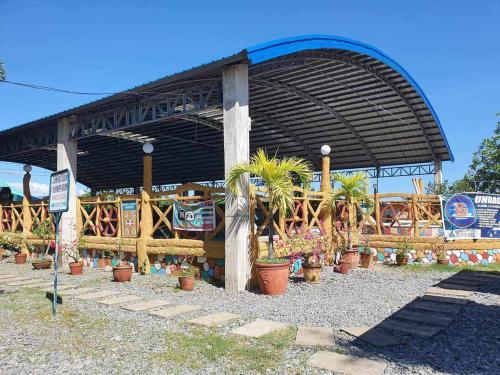 a group of potted plants in front of a building at Arzel's Tiny House in Mangatarem