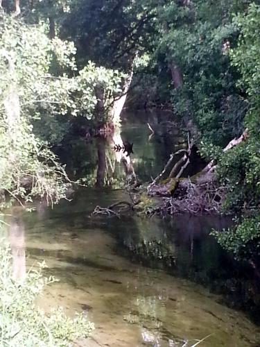 a painting of a river with trees and water at Natura Apartamenty in Swaderki