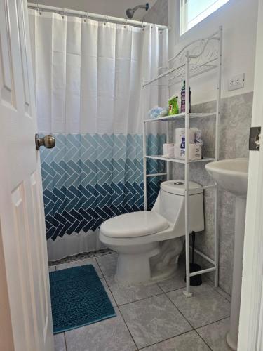 a bathroom with a toilet and a shower curtain at Rivera Casa mía in San Miguel