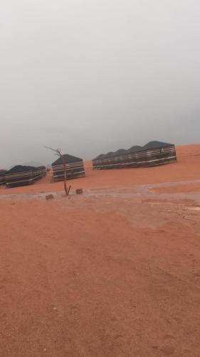 a person walking in a desert with fences in the background at bedouin future camp in Wadi Rum