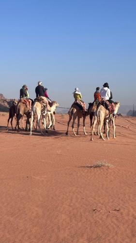 a group of people riding horses on the beach at bedouin future camp in Wadi Rum
