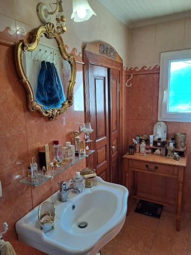 une salle de bain avec un lavabo et un miroir dans l'établissement Location en Corse au pied du Monte Cintu, à Lozzi