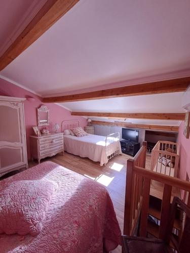 - une chambre avec 2 lits et une télévision dans l'établissement Location en Corse au pied du Monte Cintu, à Lozzi