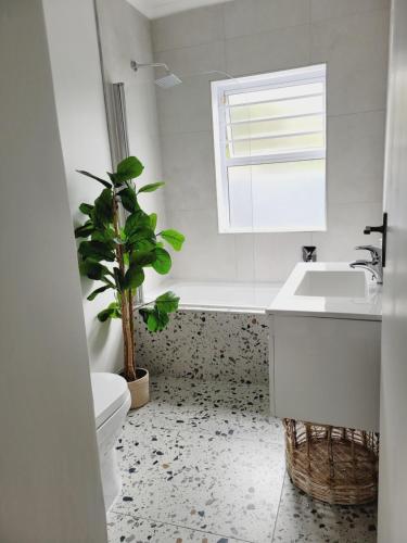 a bathroom with a sink and a toilet and a potted plant at 17A Raven Street Vacation Home in Bloubergstrand