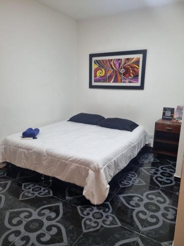 1 dormitorio con 1 cama y una pintura en la pared en Confort 13-47, en Cali