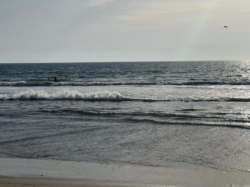 Lovely 2bedroom next to Santa Monica college photo 13