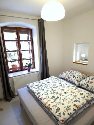 a bedroom with a bed and a window at Apartmán Sedlecká v centru Kutné Hory in Kutná Hora