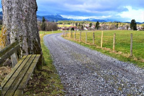 a tree and a bench next to a gravel road at Alpenchalet Allgäu in Oy-Mittelberg