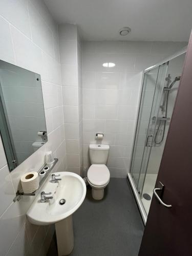 uma casa de banho com um WC, um lavatório e um chuveiro em The Bournbrook Inn em Birmingham