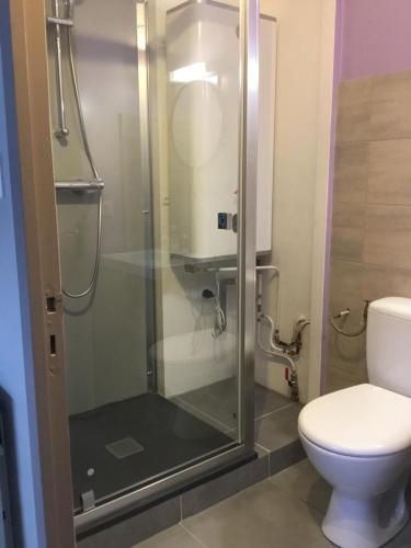 uma cabina de duche na casa de banho com WC em LO PASTRE - LUXUEUX T2 em Laguiole