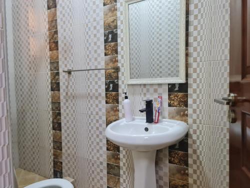 a bathroom with a sink and a mirror at Flix holdings- Apa apartments mombasa in Mombasa