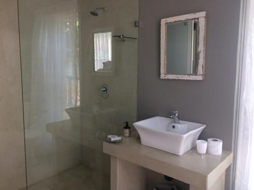 La salle de bains blanche est pourvue d'un lavabo et d'une douche. dans l'établissement 30 on Oatlands Road, à Grahamstown