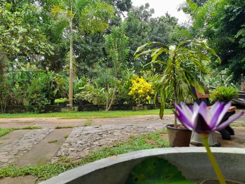 a purple flower sitting on top of a fountain at Ging View Villa in Galle
