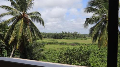 a view of a palm tree from a window at Dunest Villa in Bentota