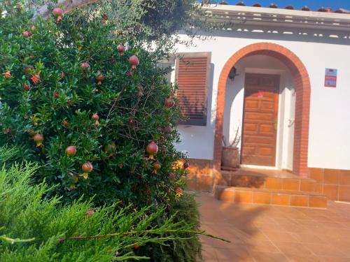 une maison avec un pommier devant une porte dans l'établissement Casita con jardin, parking, bicis, padel surf, à Ampurias