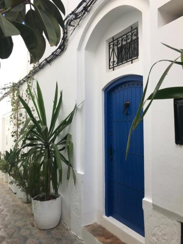 eine blaue Tür an einer weißen Wand mit einer Pflanze in der Unterkunft casabonita in Asilah