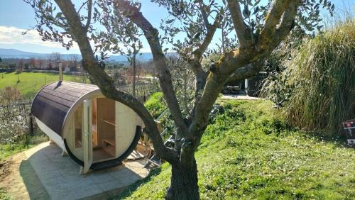 a tiny house on a hill with a tree at Il casale di Sandra in Chiusi