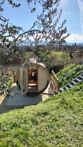 a circular house in a field with a tree at Il casale di Sandra in Chiusi