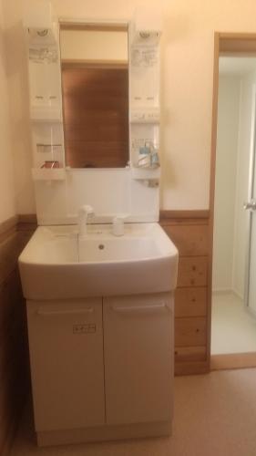 ein Badezimmer mit einem weißen Waschbecken und einem Spiegel in der Unterkunft のんびれっじ　心和（ここわ）棟 in Shiozawa