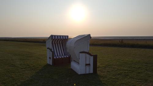 two chairs sitting in a field with the sun in the background at Grüne Düne Meerblick in Friedrichskoog-Spitz