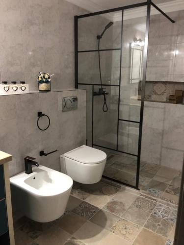a bathroom with a shower and a toilet and a sink at La Foisor in Vărbilău