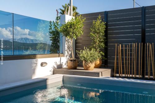 a swimming pool with potted plants next to a fence at Villa Hendel Lefkada in Lygia