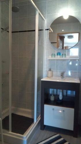 ein Bad mit einer Dusche und einem Waschbecken in der Unterkunft Chambre d'hôtes de Marie in Chémery