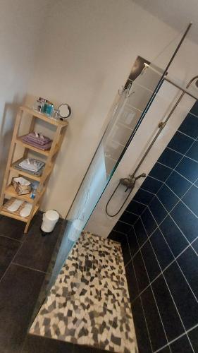 a bathroom with a shower and a shelf with towels at La grenouillère in Morcenx