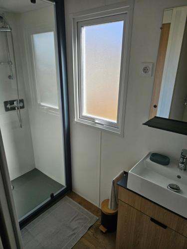 un bagno con doccia, lavandino e finestra di Les bords du Rhône a Condrieu