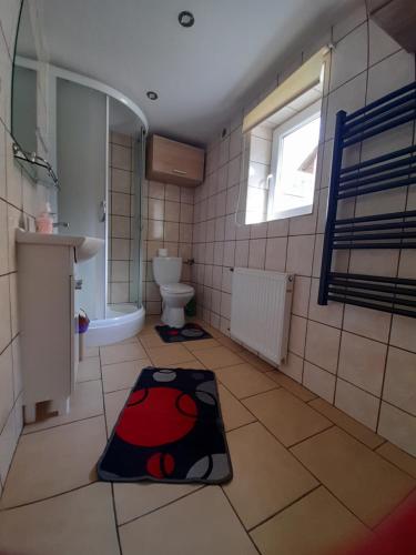 a bathroom with a toilet and a rug on the floor at Bodziuchówka in Mizerna