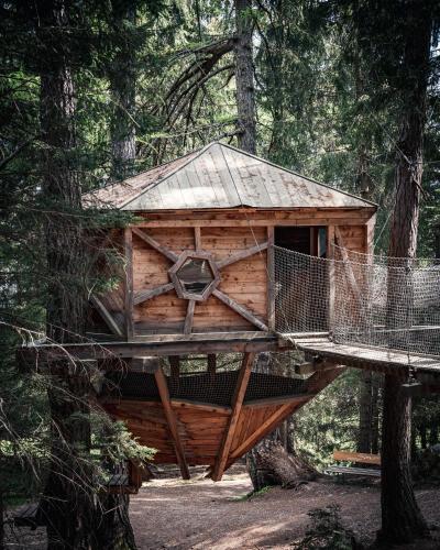 a tree house in the middle of a forest at Oskar Apartments in Neustift im Stubaital