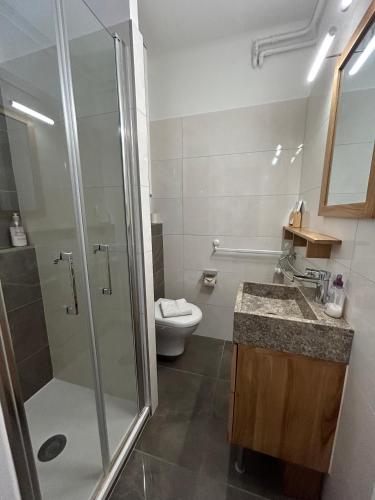 une salle de bain avec une douche, des toilettes et un lavabo dans l'établissement Harmony Studio, à Annecy