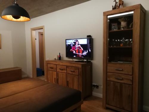 En TV eller et underholdningssystem på Apartamentai 78