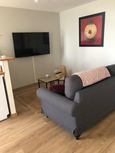 un salon avec un canapé et une télévision à écran plat dans l'établissement Le Burin des Rosiers, à Olby