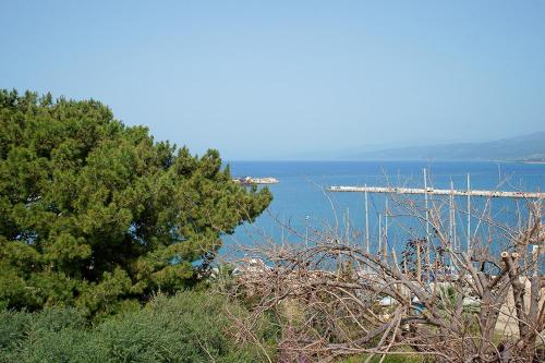 Φυσικό τοπίο κοντά σε αυτό το ξενοδοχείο διαμερισμάτων
