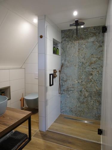 een badkamer met een douche, een wastafel en een bad bij B&B Geniet Nátuurlijk in Wapserveen