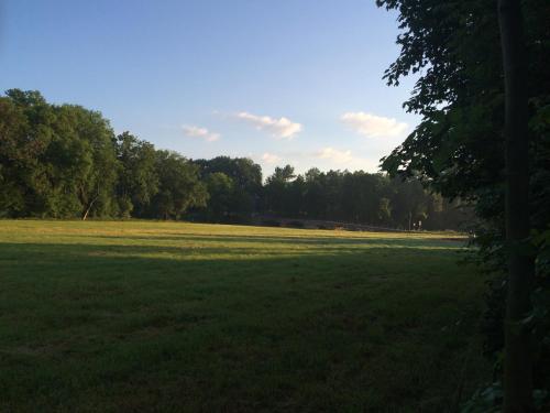 a large grass field with trees in the background at Meine Ferienwohnung Pleissenhaus in Altenburg