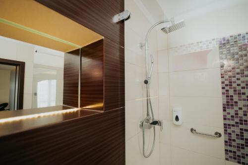 a bathroom with a shower and a mirror at Noclegi - Apartamenty Żołynianka in Żołynia