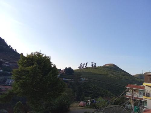 a hill with trees on top of it at Lovedale homestay in Ooty