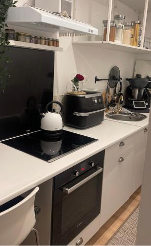 Il comprend une cuisine équipée d'une cuisinière et d'une bouilloire. dans l'établissement Dar Kareem, à Villeparisis