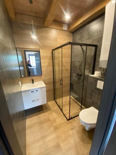 a bathroom with a shower and a toilet and a sink at Rodzinna Przystań in Lubawka